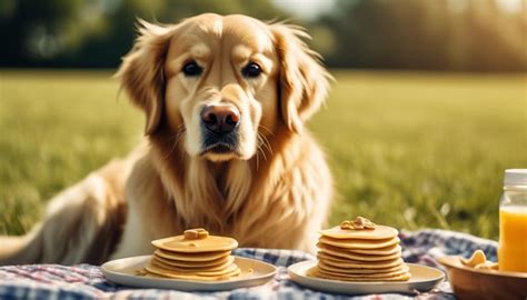 Can Dogs Eat Protein Pancakes: A Whisker-Twitching Debate on Canine Cuisine