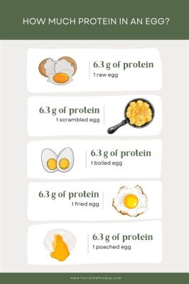 How Much Protein in 1 Fried Egg: A Culinary and Nutritional Exploration